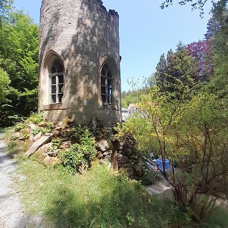 Rapunzel Trifft Dornroeschen Villa Rosenthal-Bielatal Екстериор снимка