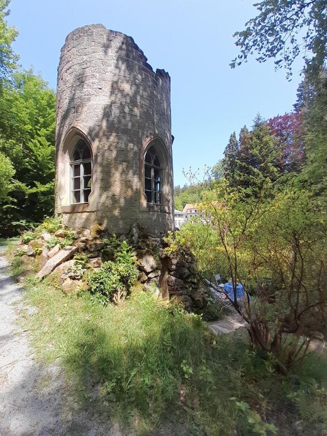 Rapunzel Trifft Dornroeschen Villa Rosenthal-Bielatal Екстериор снимка