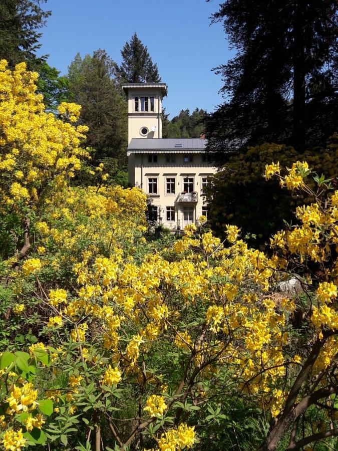 Rapunzel Trifft Dornroeschen Villa Rosenthal-Bielatal Екстериор снимка